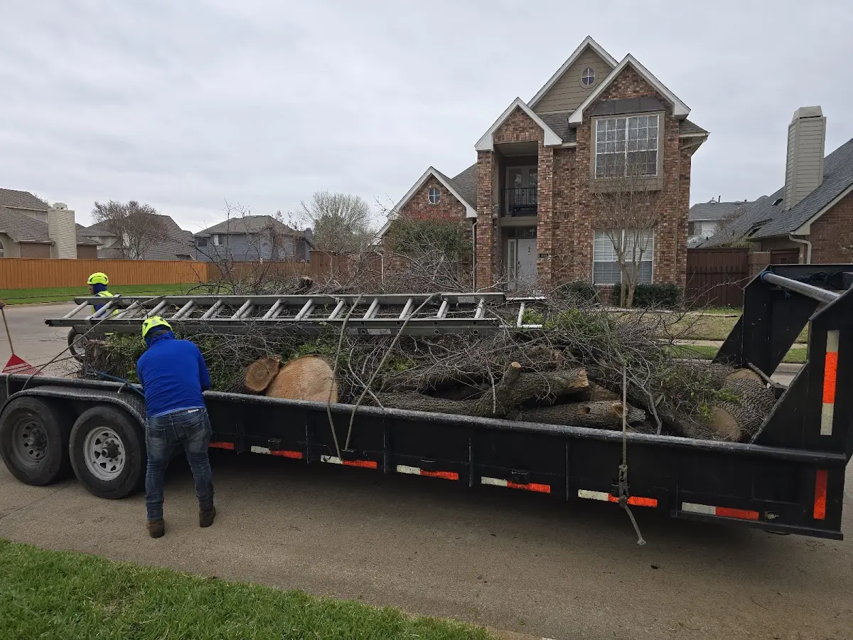 Expert Tree Fertilization with proper safety equipment in New Ulm